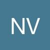 nicovoyag173
